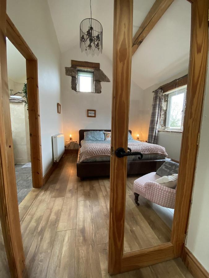 Unique Stay On An Alpaca Therapy Farm With Miniature Donkeys North Wales Mold Exterior foto