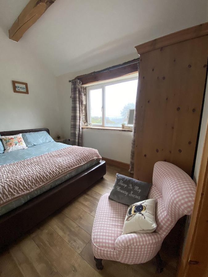 Unique Stay On An Alpaca Therapy Farm With Miniature Donkeys North Wales Mold Exterior foto
