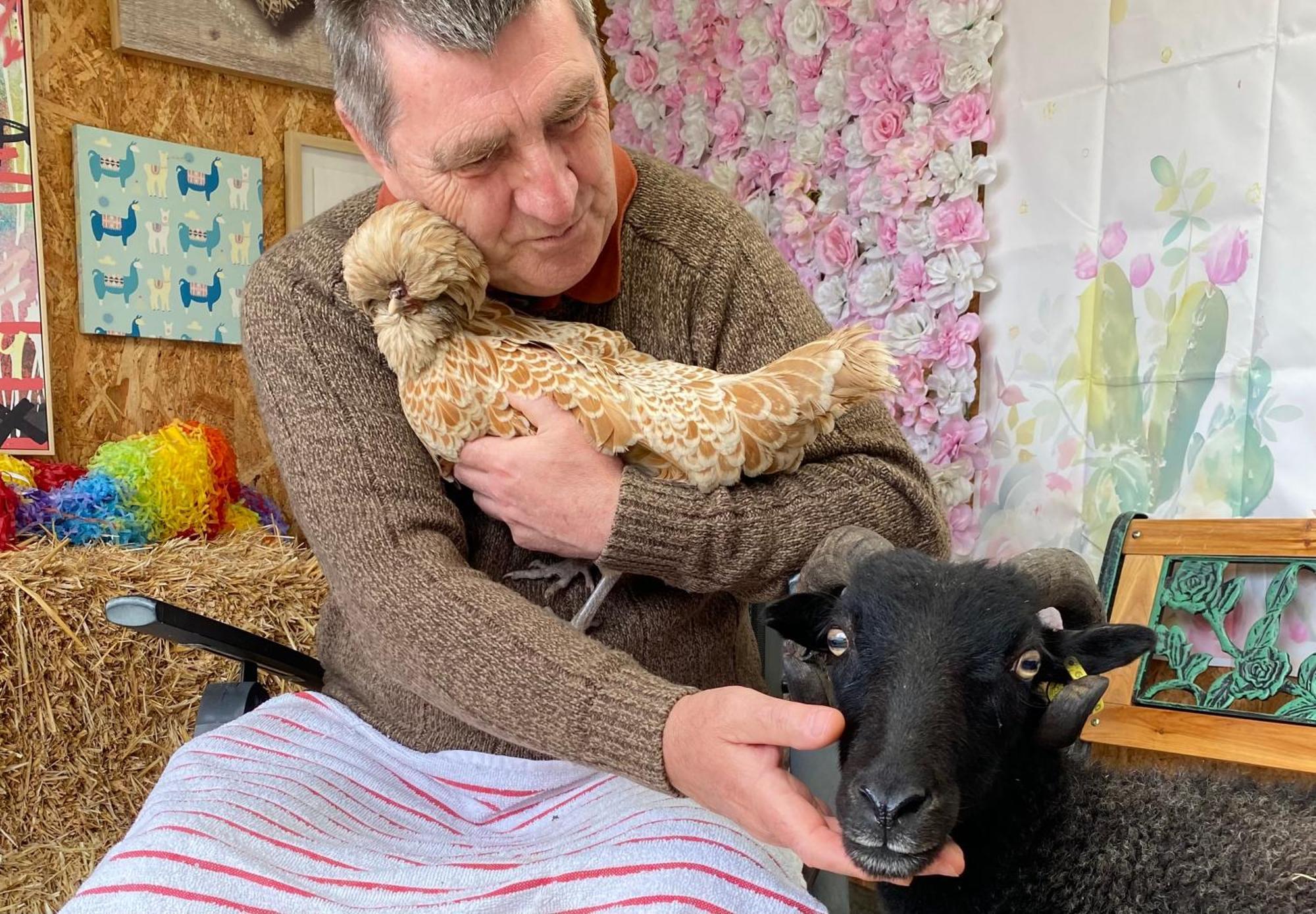 Unique Stay On An Alpaca Therapy Farm With Miniature Donkeys North Wales Mold Exterior foto