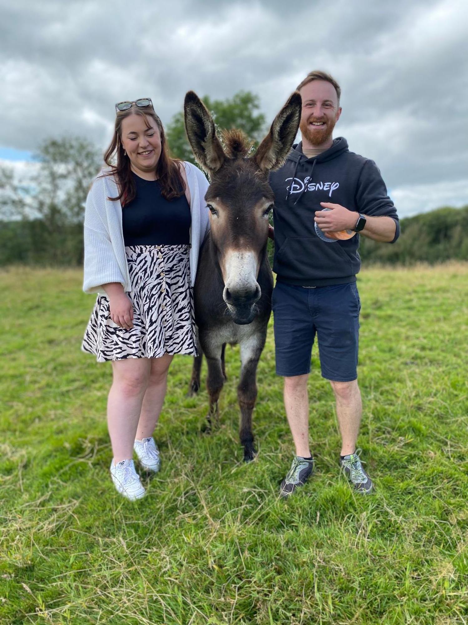 Unique Stay On An Alpaca Therapy Farm With Miniature Donkeys North Wales Mold Exterior foto